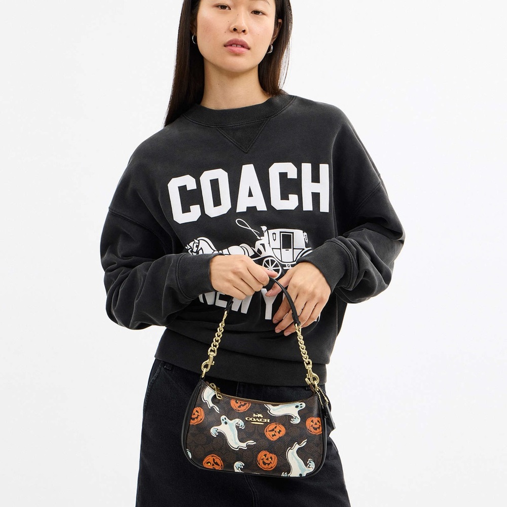 NWT Coach Teri Shoulder Bag In Signature Canvas Pumpkin Halloween Print CCE71 - Picture 3 of 15